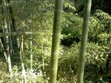 IMAGE_264