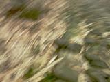 IMAGE_254