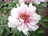 STH70222