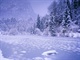 Webshots_55031