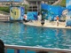 DSCN8349