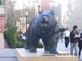 UCLA标志