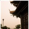 夏末，无风。