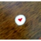 最后一次，I ❤ U~~