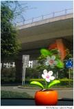 四月 花季