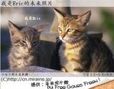 小艾里克的未来