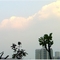 7：58咕噜家窗外的天空