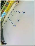 空旷的溜冰场