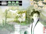 刘亦菲01