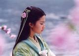 刘亦菲06
