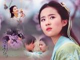 刘亦菲04