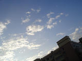 DSC00101