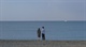 《蜂蜜与四叶草电影版[20091110-0143504]