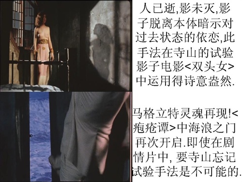人tyhrt逝,影未灭,