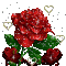 f3d79e0dbb8665cfcb501f08c2773840