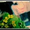 菜心开花12