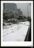11月1日雪景5