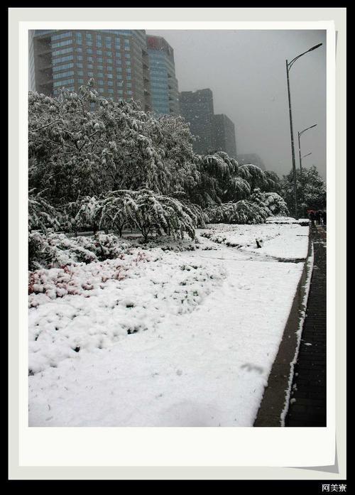 11月1日雪景5