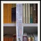 奔跑者9