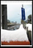 11月10日大雪3