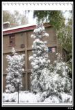 11月10日大雪2