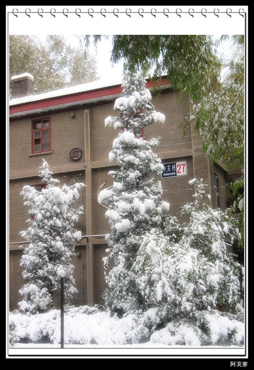 11月10日大雪2