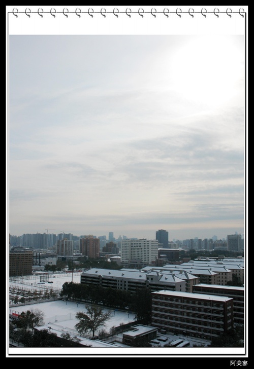 11月10日大雪5