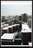 11月10日大雪4