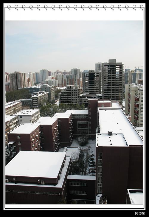 11月10日大雪4