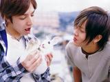 羡死这只兔兔了