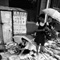 06890040-