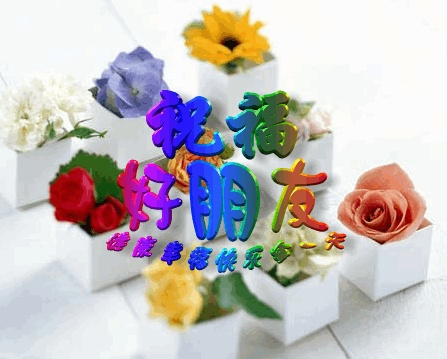 2605050909457549812