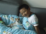 我和小猫