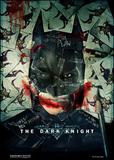 The Dark Knight (6)