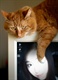 PhotoFunia_a5fdb3