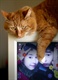 PhotoFunia_858c6b