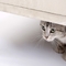 藏猫猫