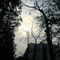 DSC00304