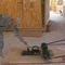 a-funny-iraq-us-soldier-pics-2