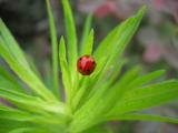 DSCN1278