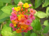 DSCN1631