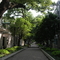DSCN1530