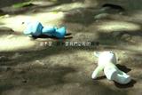 溃烂