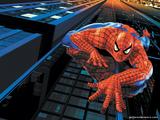 spiderman_wall