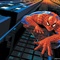 spiderman_wall