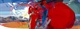 p_large_FqXB_257100003ccc2d13