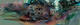 p_large_84KY_3d3c000084c02d10