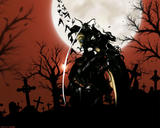 Zed_Mangas_02591