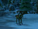 WoWScrnShot_122009_231152