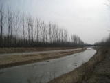 IMG_1137_copy